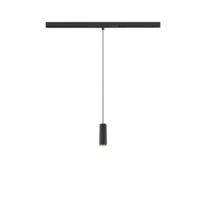 LALU, 48V pendant light, DALI, LED base, Mix&Match, pendant length 200 cm, 2700/3000K, 40°, black