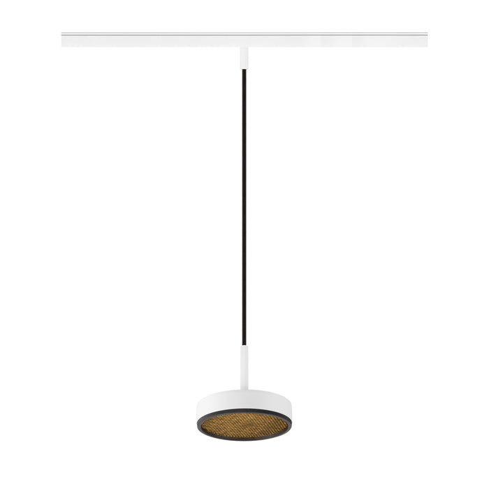 GRIP! FLAT, 48V pendant light, DALI, Pendant length 200 cm, 2700/3000 K, white / black