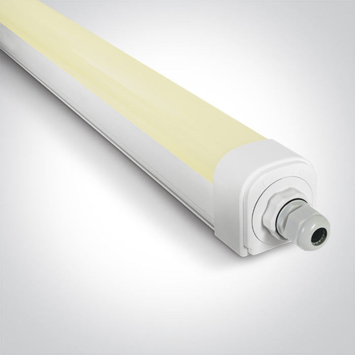 LED 30W CW 1210mm IP66 230V