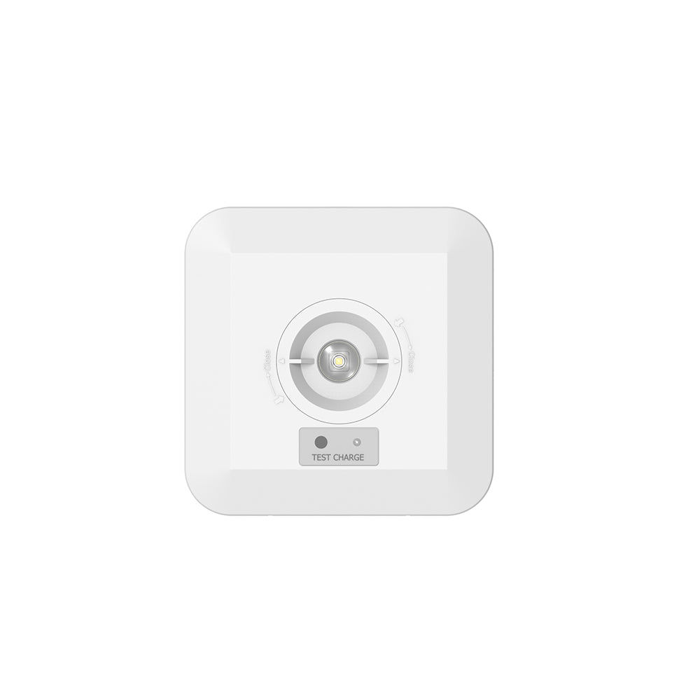 Escape Surface EM Downlight c/w 2 lens, IP65, White — Intalite UK