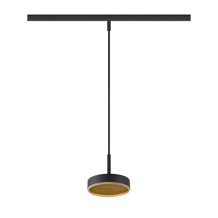 GRIP! FLAT, 48V pendant light, DALI, Pendant length 200 cm, 2700/3000 K, black / gold