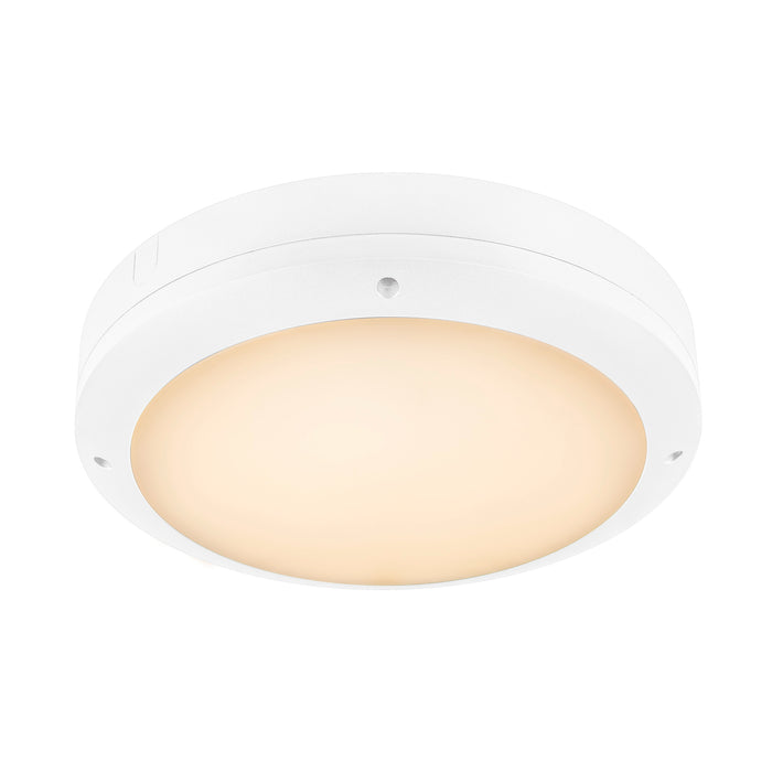 OUTDOOR BULKHEAD V 360, 20W 830/840/856 IP65 IK10 White